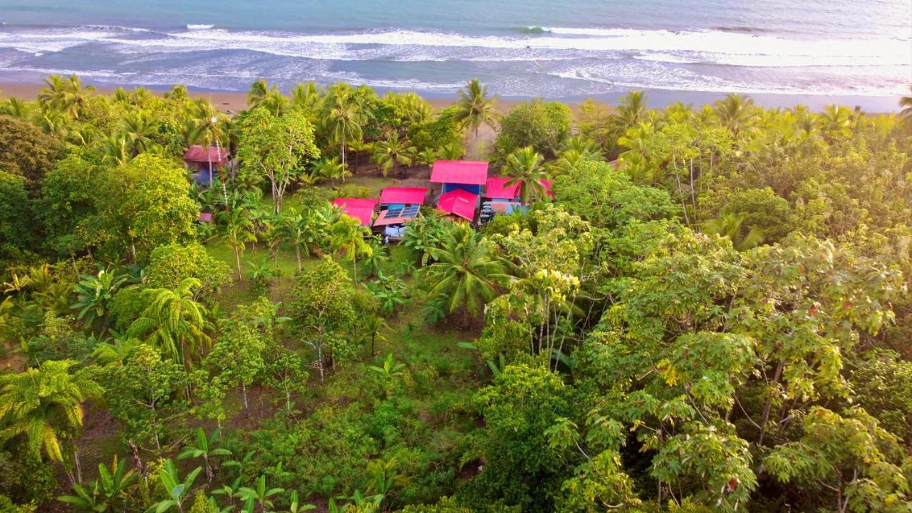 Tortuga Bay Eco Hotel El Valle  Bagian luar foto
